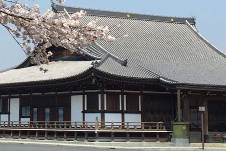 ソラスト小岩あやめ